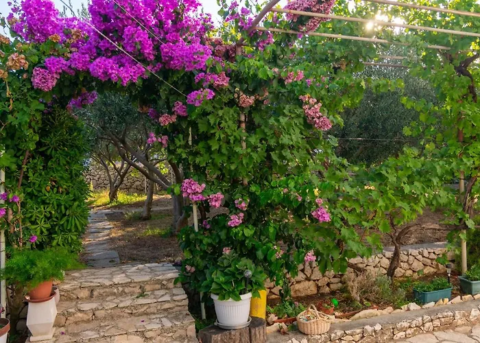 Apartamento With Parking Space Razanac, Zadar - 6919